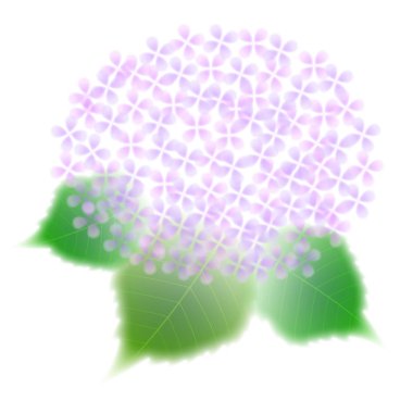 Ortanca yağmur mevsimi çiçek ikonu