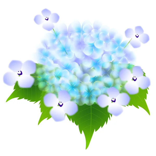 Hydrangea rainy season flower icon