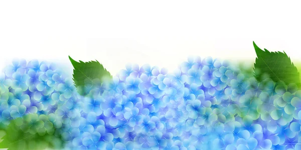 Hydrangea rainy season flower background — Stock Vector