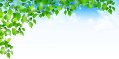 taze yeşil yapraklar bahar arkaplanı