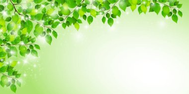 taze yeşil yapraklar bahar arkaplanı