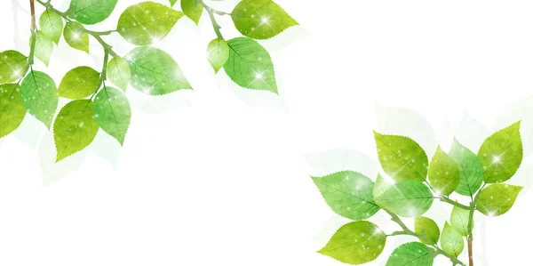 Φρέσκο πράσινο φύλλα άνοιξη φόντο — Διανυσματικό Αρχείο