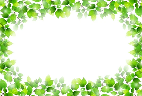 Frische grüne Blätter Frühling Hintergrund — Stockvektor