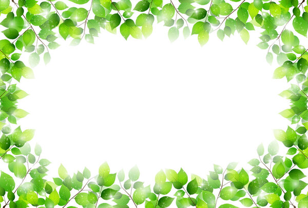 Fresh green leaves Spring background