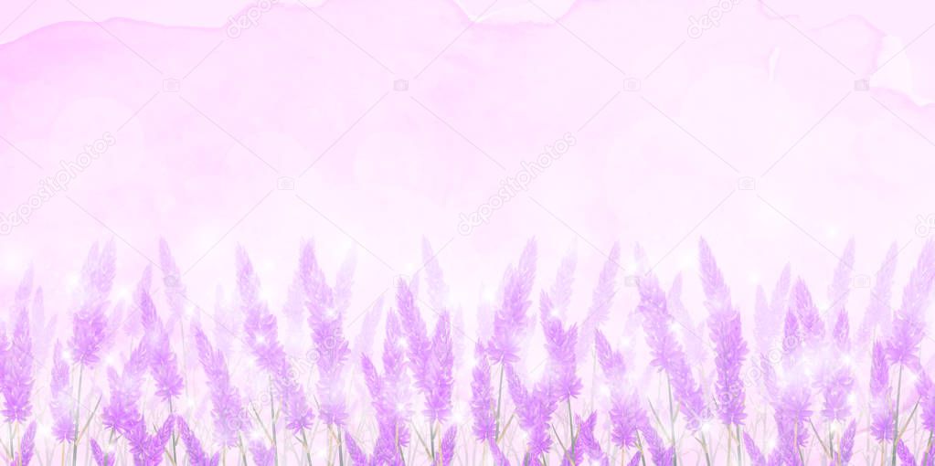 Lavender flower landscape background