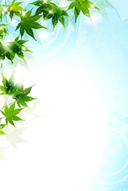 Akçaağaç sıcak yaz yaprak zemin