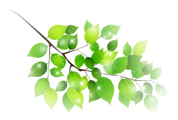 Icono verde hoja fresca verde — Vector de stock