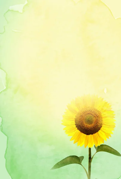 Sonnenblume heißen Sommer Blume Hintergrund — Stockvektor