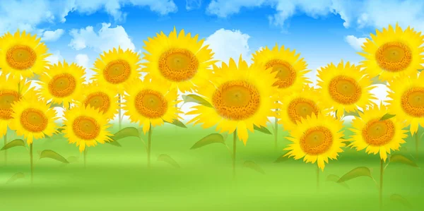 Kwiat słonecznika lato na tle — Wektor stockowy
