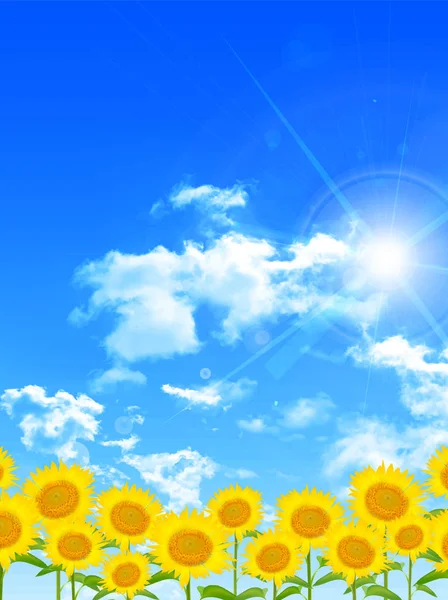 Slunečnicový letní květinové pozadí — Stockový vektor