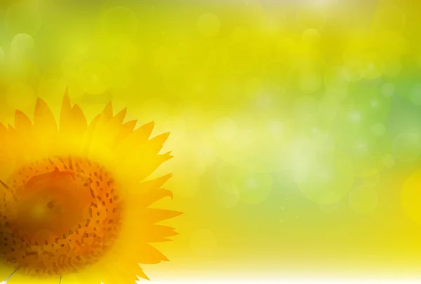 Sonnenblume Sommer Blume Hintergrund — Stockvektor