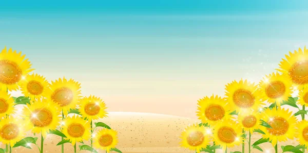 Girassol verão flor fundo —  Vetores de Stock