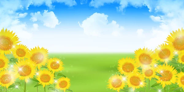 Sunflower summer flower background — Stock Vector