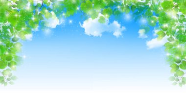 taze yeşil yapraklar bahar arkaplanı