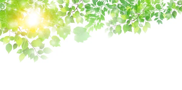 Fresco verde folhas primavera fundo — Vetor de Stock