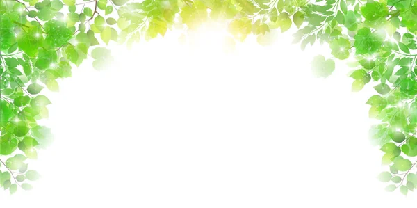 Färska gröna blad våren bakgrund — Stock vektor