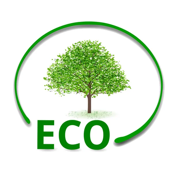 Eco tree frame icon — Stock Vector