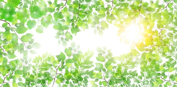 Fresco verde folhas primavera fundo — Vetor de Stock