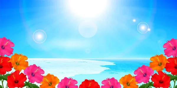 Hibiscus Sea Summer Background — Stock Vector