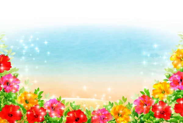 Hibiscus Sea Summer Background
