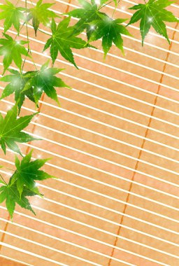 Akçaağaç yaprakları yaz arka plan