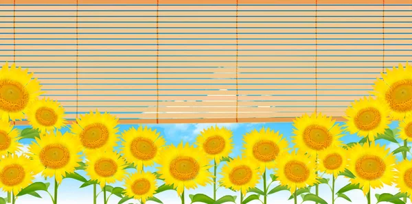Sunflower flower summer background