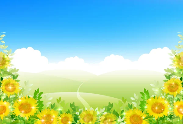 Sonnenblume Sommer Blume Hintergrund — Stockvektor