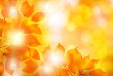 Sahne yaprak arka plan sonbahar yaprakları