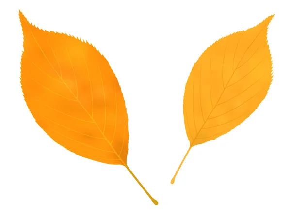 秋天的落叶叶橘黄色图标 — 图库矢量图片
