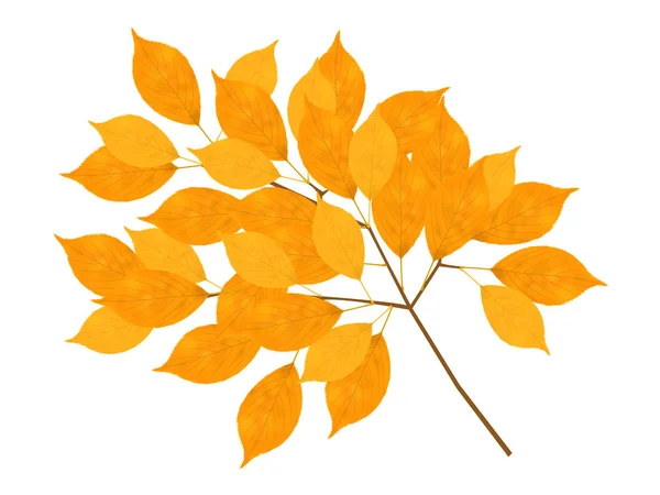 Hojas de otoño Icono de color naranja — Vector de stock