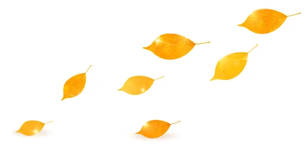 Podzimní listí scenérie list pozadí — Stockový vektor