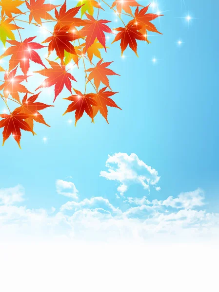 秋天的树叶枫树叶背景 — 图库矢量图片
