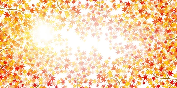 Feuilles d'automne fond de feuille d'érable — Image vectorielle