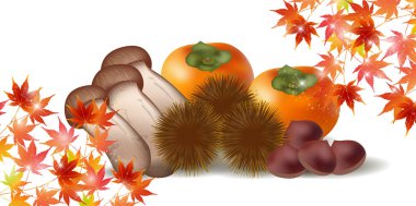 Akçaağaç sonbahar yaprak arka plan