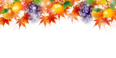 Akçaağaç sonbahar yaprak arka plan