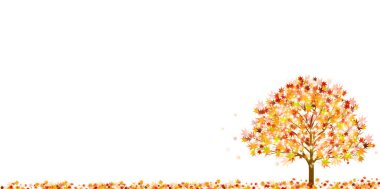 Akçaağaç sonbahar manzara arka plan