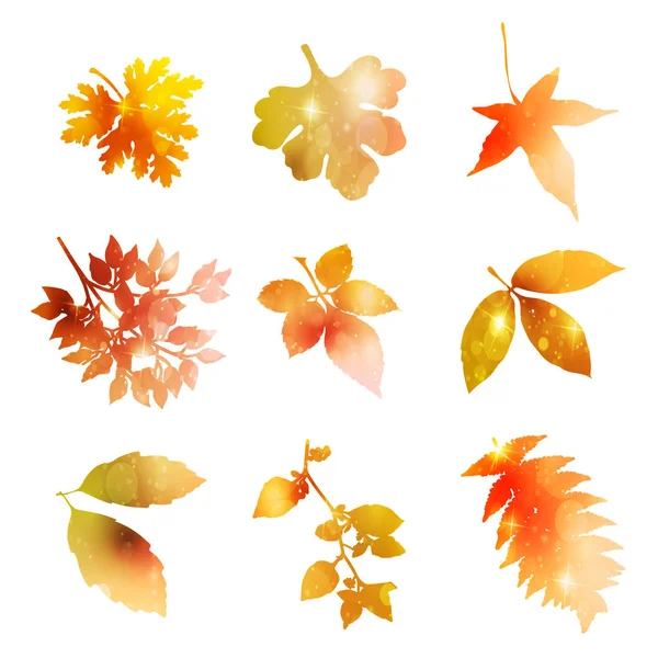 Icono de hoja de arce otoño — Vector de stock