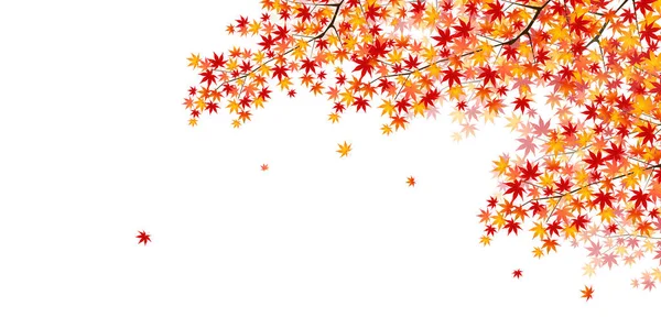 Maple herfst landschap-achtergrond — Stockvector