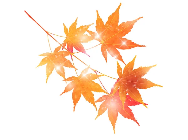Ikon latar belakang Maple musim gugur - Stok Vektor