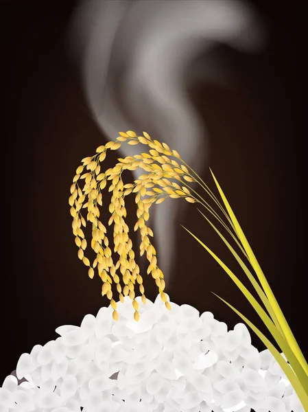 Japans eten Japanse achtergrond rijst — Stockvector