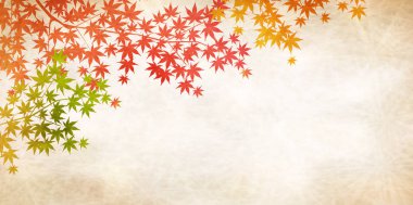 Sonbahar Japon kağıt arka plan sonbahar yaprakları