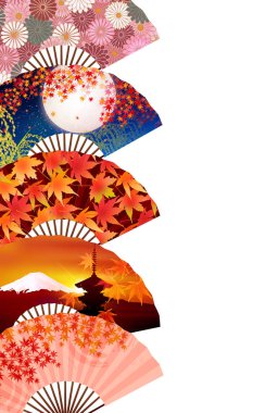 Akçaağaç sonbahar Kasımpatı çiçeği arka plan