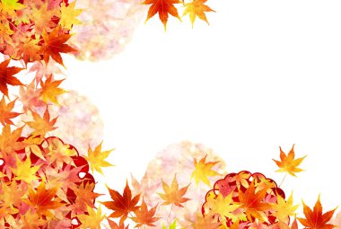 Akçaağaç sonbahar yaprak arka plan