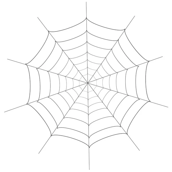 Halloween araña otoño fondo — Vector de stock