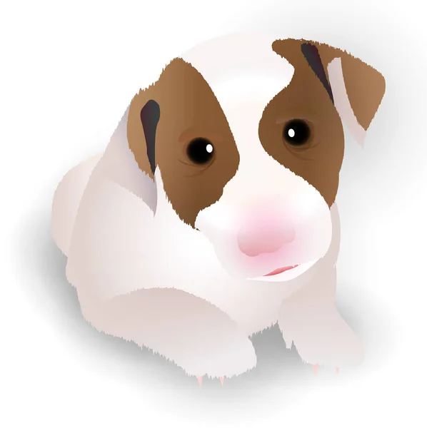 Perro Beagle Perro icono de la tarjeta de Año Nuevo — Archivo Imágenes Vectoriales