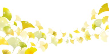 Ginkgo sonbahar arka plan bırakır