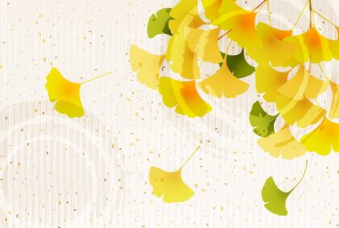 Ginkgo sonbahar arka plan bırakır