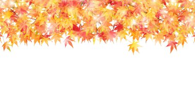 Akçaağaç sonbahar manzara arka plan