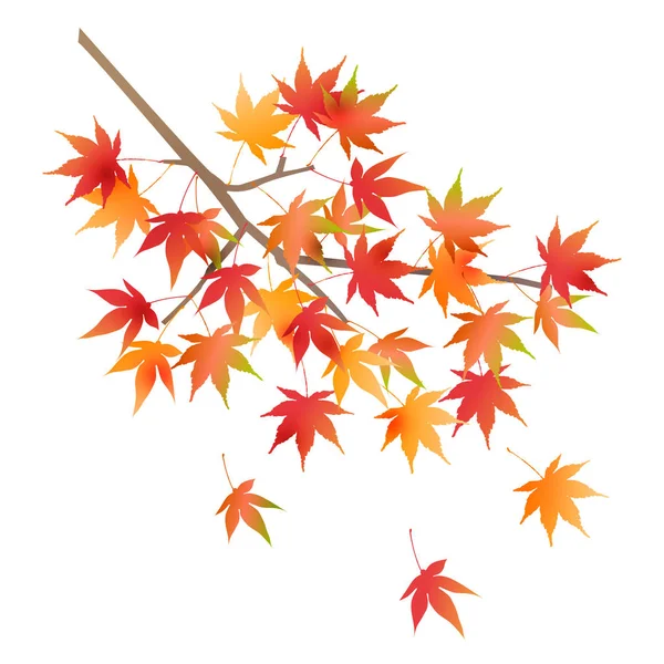 Akçaağaç sonbahar yaprak simgesi