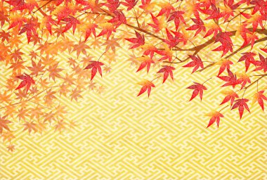 Sonbahar Japon kağıt arka plan sonbahar yaprakları